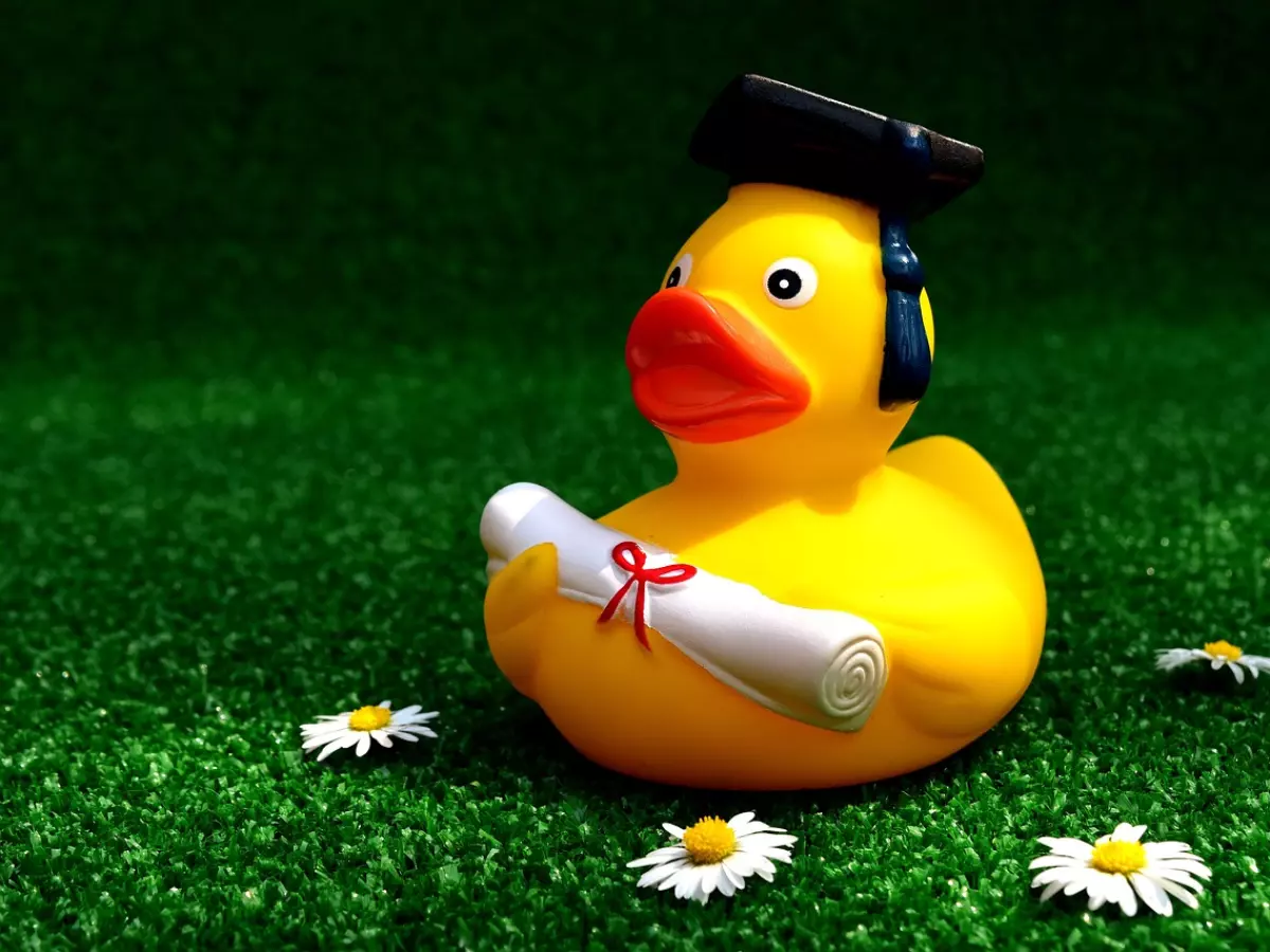 A yellow rubber duck with a graduation cap and diploma.